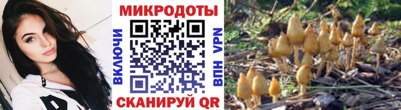 Галлюциногенные грибы Magic Shrooms  дарнет шоп  Мирный 
